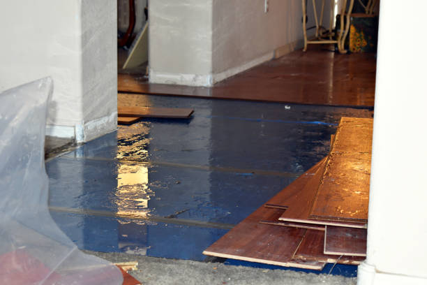 Professional Burst Pipe Cleanup technician working in Bat Cave, NC